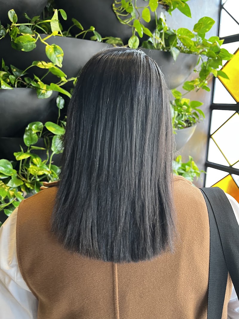Tovi Hair Salon