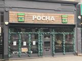 Pocha Bristol